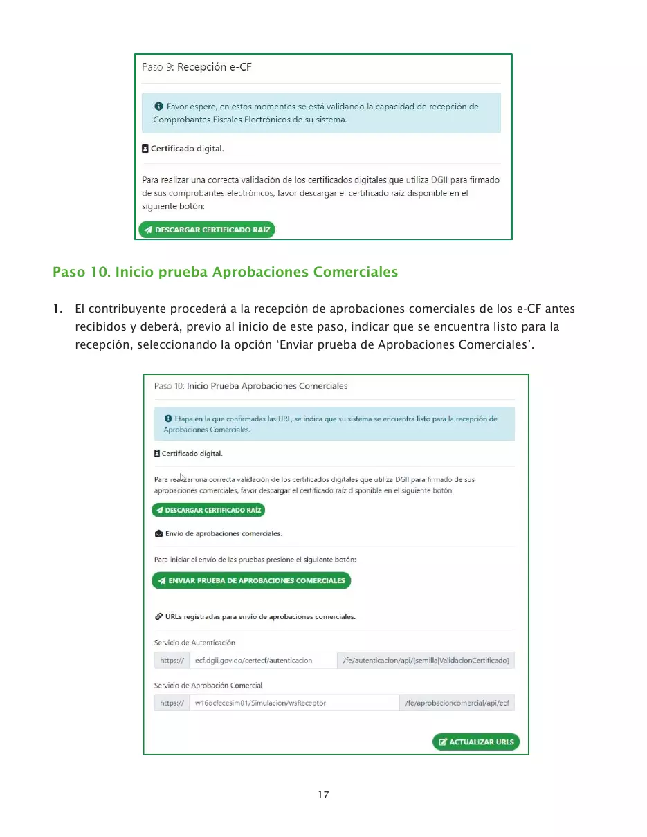 Proceso de certificación para ser emisor electrónico, página 17 de 26